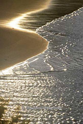 river edge thumbnail graphic